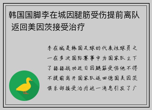 韩国国脚李在城因腿筋受伤提前离队 返回美因茨接受治疗